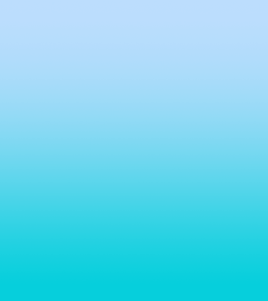 Loading Image...